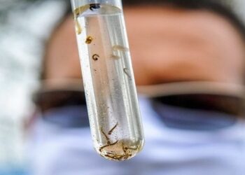 SES lança Campanha de Enfrentamento à Dengue, Zika e Chikungunya em MS