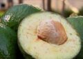 Abacate: saiba por que incluir na dieta e veja 3 receitas