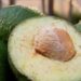 Abacate: saiba por que incluir na dieta e veja 3 receitas