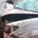Bebê morre após motorista capotar caminhonete na fronteira de MS