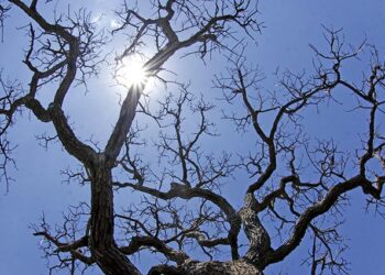 Tempo firme nesta terça, mas deve chover em duas regiões de MS