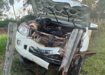 Vaca morre e deixa caminhonete destruída ao atravessar BR-262 nesta madrugada