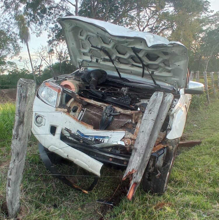 Vaca morre e deixa caminhonete destruída ao atravessar BR-262 nesta madrugada