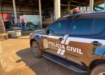 No interior de MS, três toneladas de drogas são incineradas pela Polícia Civil