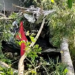 Vídeo: Caminhonete despenca em ponte do Rio Nioque, deixa 1 morto e outro em estado grave