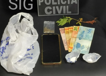 Homem é preso por tráfico de cocaína e por plantar maconha no quintal de casa
