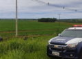 Ladrão capota Hyundai I30, foge a pé, mas acaba encontrado e preso pela polícia