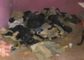 Polícia “estoura” boca de fumo no Moreninhas com drogas avaliadas em R$ 45 mil