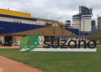 Condições laborais de 1,8 mil funcionários da Suzano é tema de audiência do MPT-MS