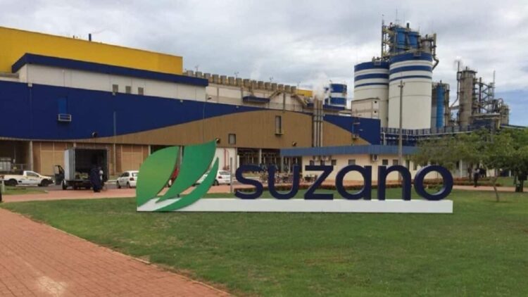 Condições laborais de 1,8 mil funcionários da Suzano é tema de audiência do MPT-MS