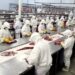 “Carne, Osso”: Filme expõe a precariedade e os adoecimentos em frigoríficos