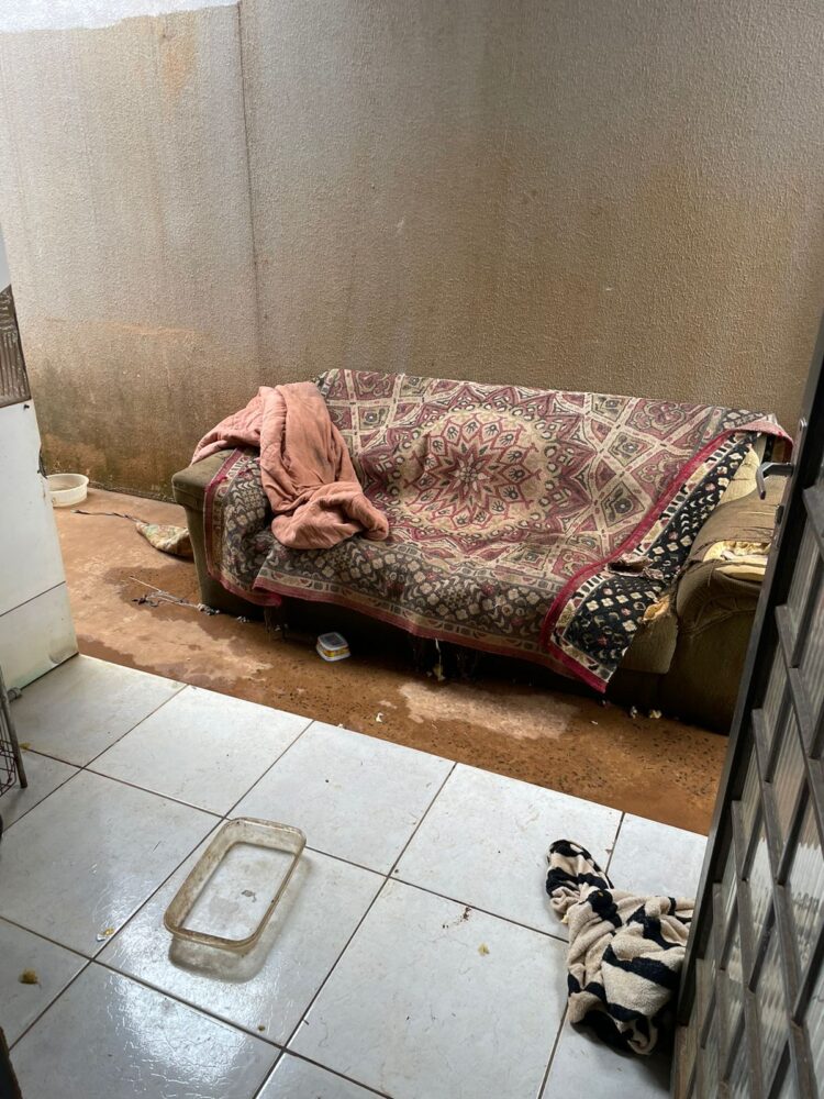 Mãe é presa por abandonar filhas de 10 e 12 anos em casa cheia de “gatos” na luz e água