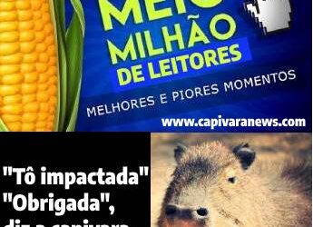 CapivaraNews atinge mais de meio milhão de leitores e relembra as mais lidas até agora