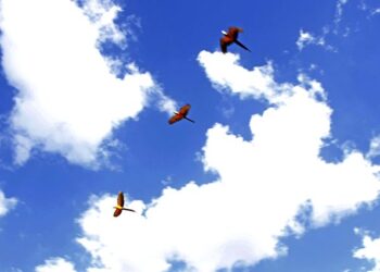 Períodos de sol e chuvas de verão devem marcar a quinta-feira em MS