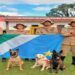 Cães com mais de 20 certificações reforçam atuação do Corpo de Bombeiros em Mato Grosso do Sul