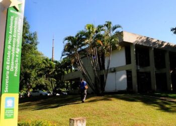 Governo publica editais de processos seletivos da Semagro e de professores temporários da rede estadual