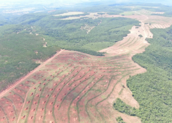 Campo-grandense é multado em R$ 50 mil por degradar córregos em Aquidauana