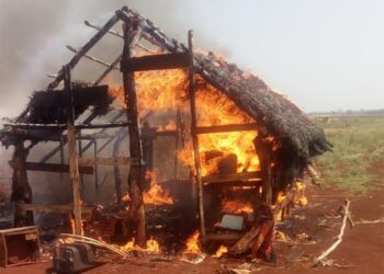Fábio Trad exige “providências enérgicas” contra incêndio criminoso ao povo Guarani-Kaiowá