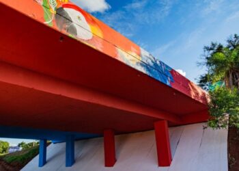 Com cores vivas da nossa fauna, revitalização do viaduto da UFMS é entregue na terça