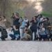 Evento “Vem Passarinhar MS” promove o birdwatching e inaugura placa com espécies de aves em Corumbá