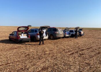 DOF apreende 5 veículos com contrabando avaliado em R$ 190 mil em MS