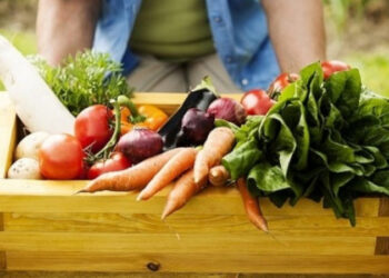 Escola faz chamada pública para aquisição de alimentos da Agricultura Familiar