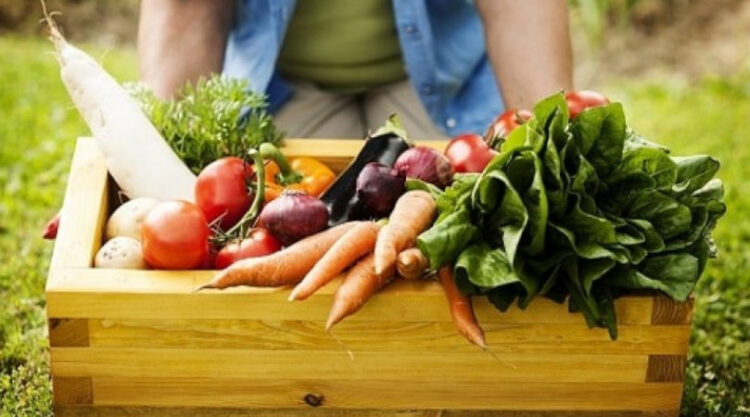 Escola faz chamada pública para aquisição de alimentos da Agricultura Familiar