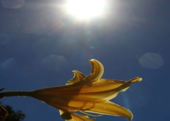 Quem ainda vai aproveitar o Carnaval enfrentará sol, calor e pancadas de chuva em MS