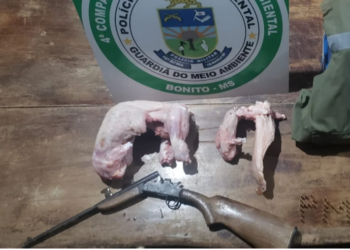 Dupla de caçadores é presa com animais abatidos e pagam multa por caça de jacarés