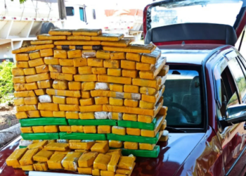 Mulher é presa com maconha em Gol vermelho; prejuízo de mais de R$ 175 mil ao tráfico