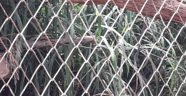 Móveis antigos de posto de saúde ficam acumulados em “lixão” no Parque do Sol e população pede solução