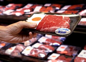 Debate promovido na ExpoMeat aborda nova forma de produzir e consumir carnes