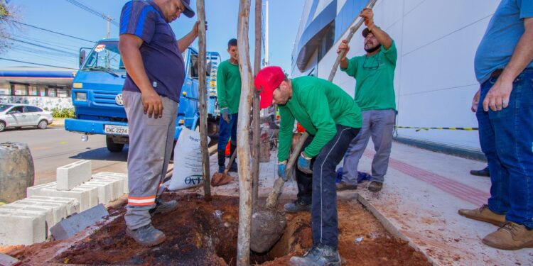 Vídeo: Prefeitura inicia paisagismo no quadrilátero central