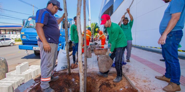 Vídeo: Prefeitura inicia paisagismo no quadrilátero central