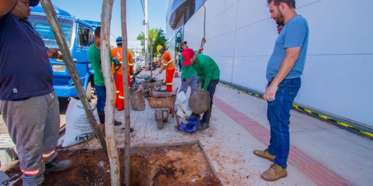 Vídeo: Prefeitura inicia paisagismo no quadrilátero central