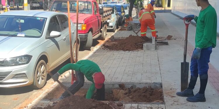 Vídeo: Prefeitura inicia paisagismo no quadrilátero central