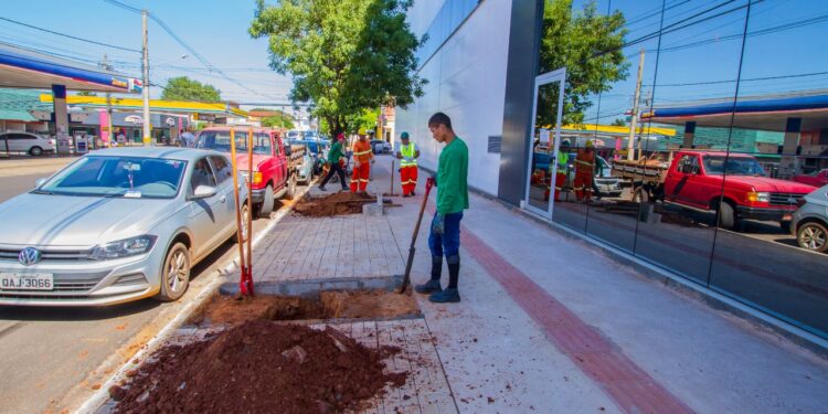 Vídeo: Prefeitura inicia paisagismo no quadrilátero central