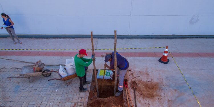 Vídeo: Prefeitura inicia paisagismo no quadrilátero central