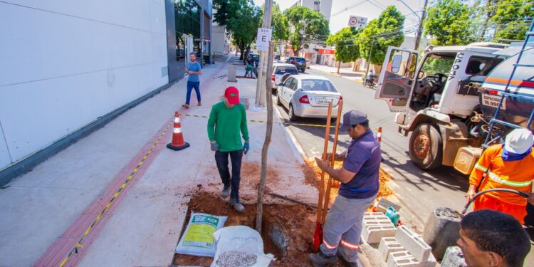 Vídeo: Prefeitura inicia paisagismo no quadrilátero central