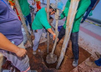 Vídeo: Prefeitura inicia paisagismo no quadrilátero central