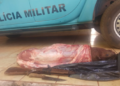 Polícia ouve tiro e prende homem em flagrante carneando capivara em MS