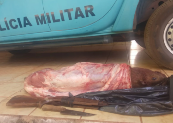 Polícia ouve tiro e prende homem em flagrante carneando capivara em MS