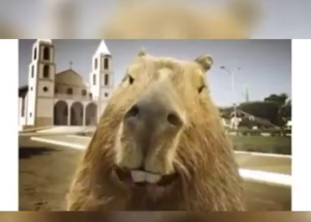 Vídeo: Capivara “diz” que campo-grandense quando vê corumbaense só “sabe falar de peixe”