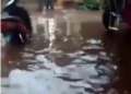 Vídeo: Chuva com fortes ventos alaga casas e deixa rastro de destruição em Dourados
