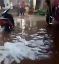 Vídeo: Chuva com fortes ventos alaga casas e deixa rastro de destruição em Dourados