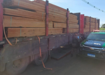 Polícia autua empresa em R$ 14 mil por transportar madeira ilegalmente em MS
