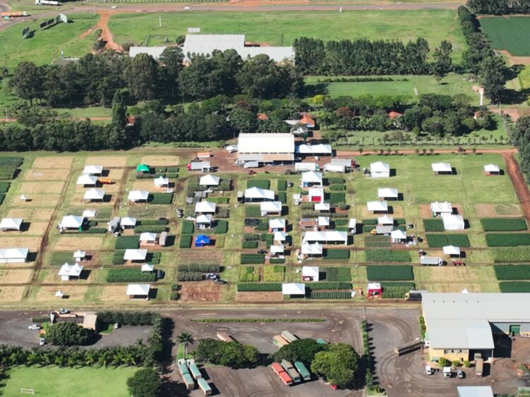 Tecnoagro 2022 começa amanhã e debate o uso de fertilizantes na produção de grãos