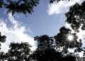 Última semana de março terá sol, pancadas de chuva e nova frente fria em MS