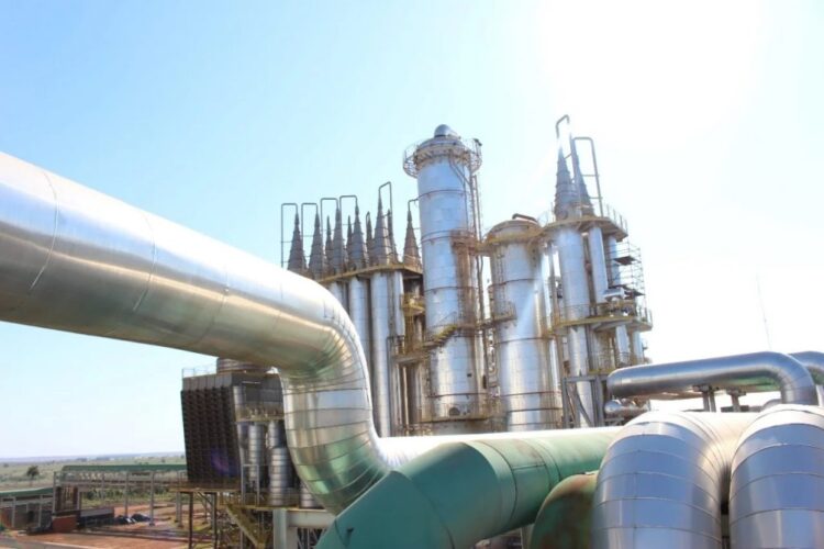 Carbono Neutro: suinocultura e setor sucroenergético credenciam MS como protagonista em biometano no país