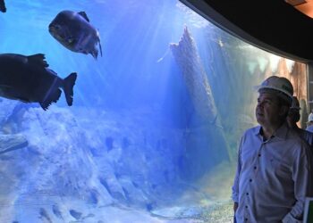 Aquário agora chama-se “Bioparque Pantanal” e será inaugurado na segunda-feira, anuncia Riedel